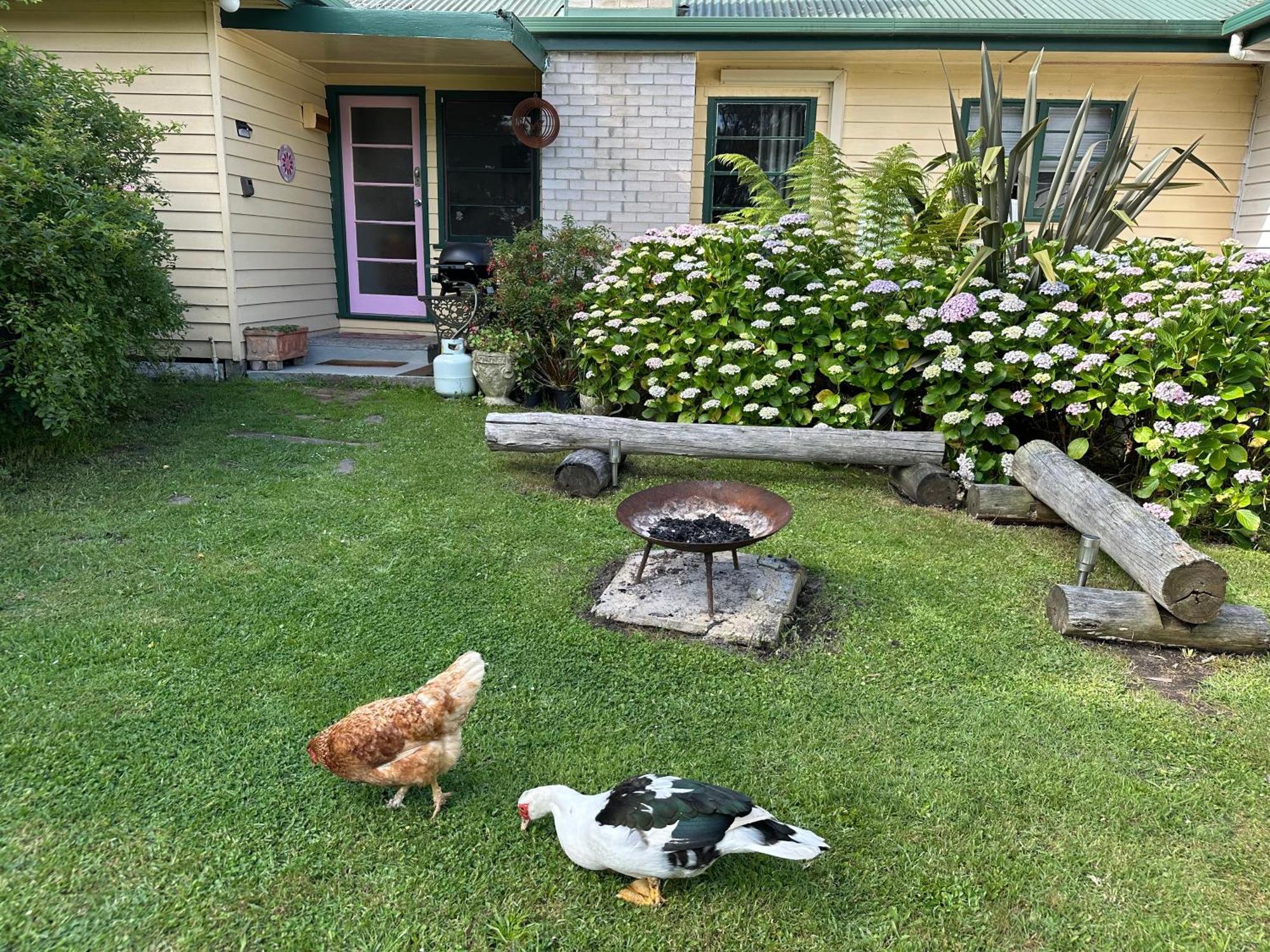 Bush Retreat Farm Stay 2 Bedroom Guest Suite Gelliondale 外观 照片